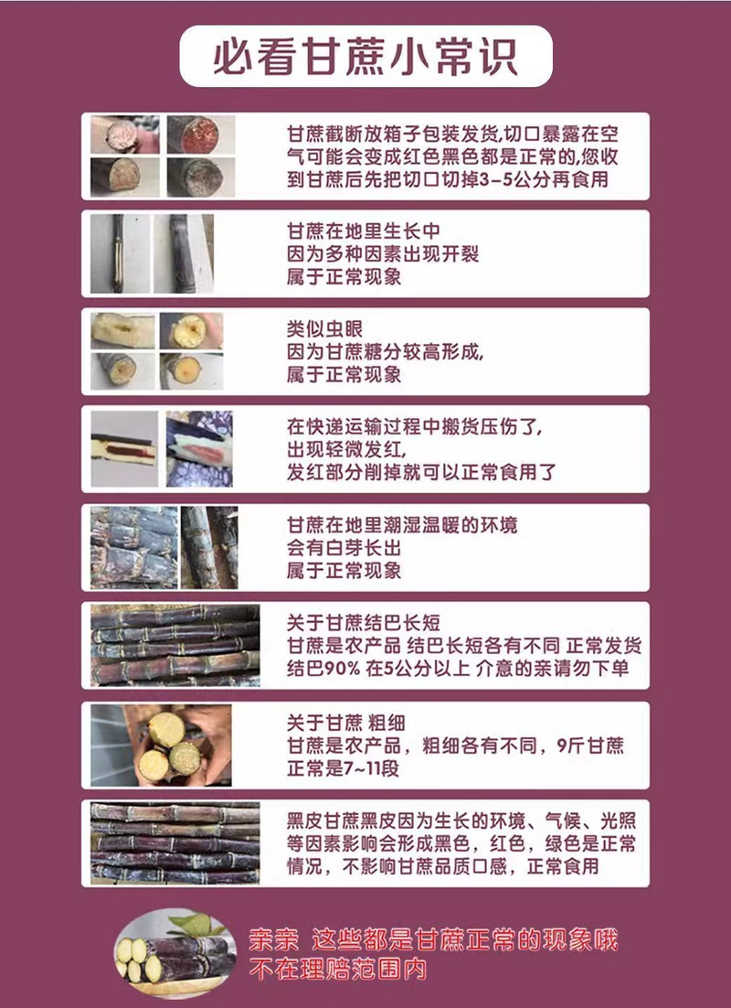 沃丰沃 正宗广西黑皮甘蔗3斤中段新鲜水果应当季脆甜果糖蔗榨汁糖浆甜杆