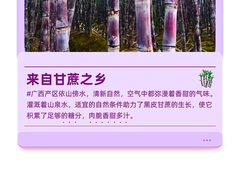 沃丰沃 广西黑皮甘蔗【9斤】新鲜水果当季脆甜杆蔗孕妇果蔗批发特产整箱