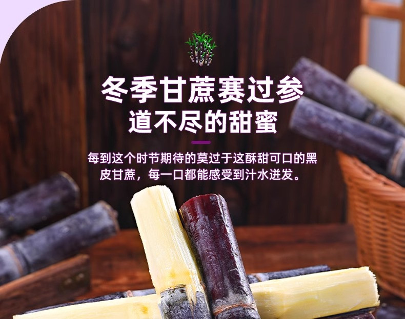 沃丰沃 黑皮甘蔗新鲜现砍【5斤】脆甜多汁水果甜杆广西特产中段现砍黑皮