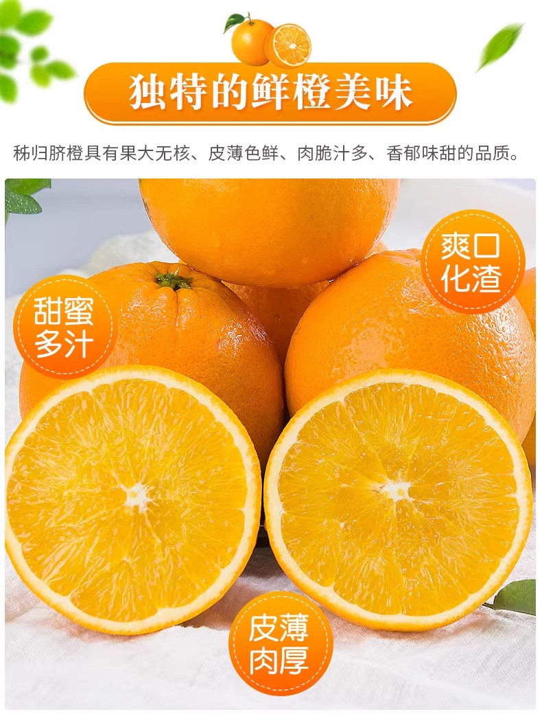 沃丰沃 正宗赣南脐橙【5斤】应季水果新鲜橙子甜橙子皮薄多汁产现摘产地