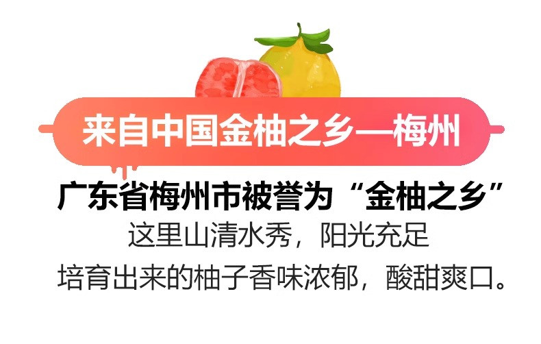 沃丰沃 正宗广东梅州沙田柚【15斤】当季现摘纯甜白肉蜜柚新鲜水果