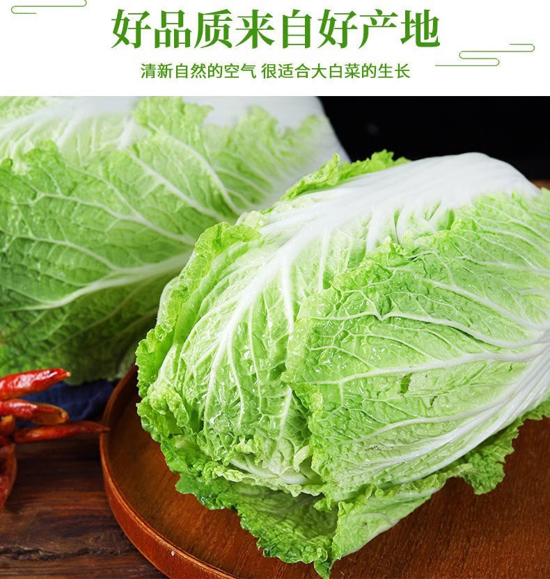 沃丰沃 大白菜冬储【2一3斤】大白菜农家自种新鲜现砍现发酸辣白菜原料