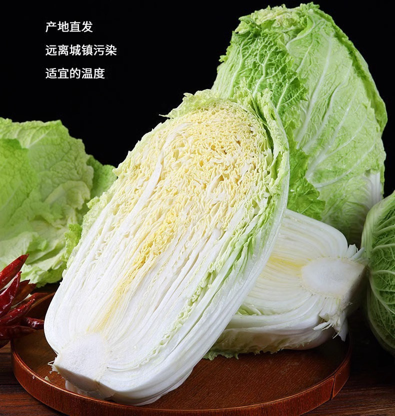 沃丰沃 大白菜冬储【2一3斤】大白菜农家自种新鲜现砍现发酸辣白菜原料