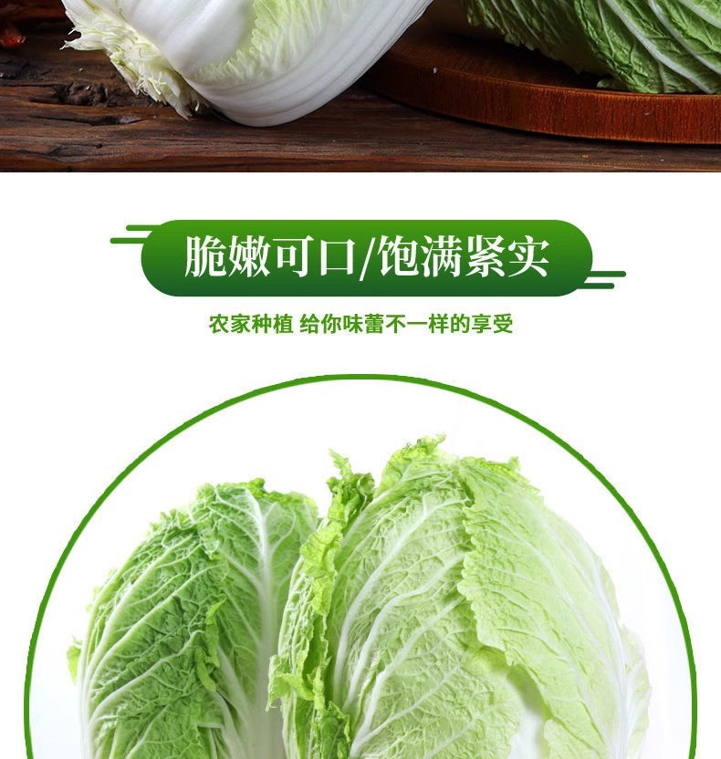 沃丰沃 大白菜冬储【2一3斤】大白菜农家自种新鲜现砍现发酸辣白菜原料