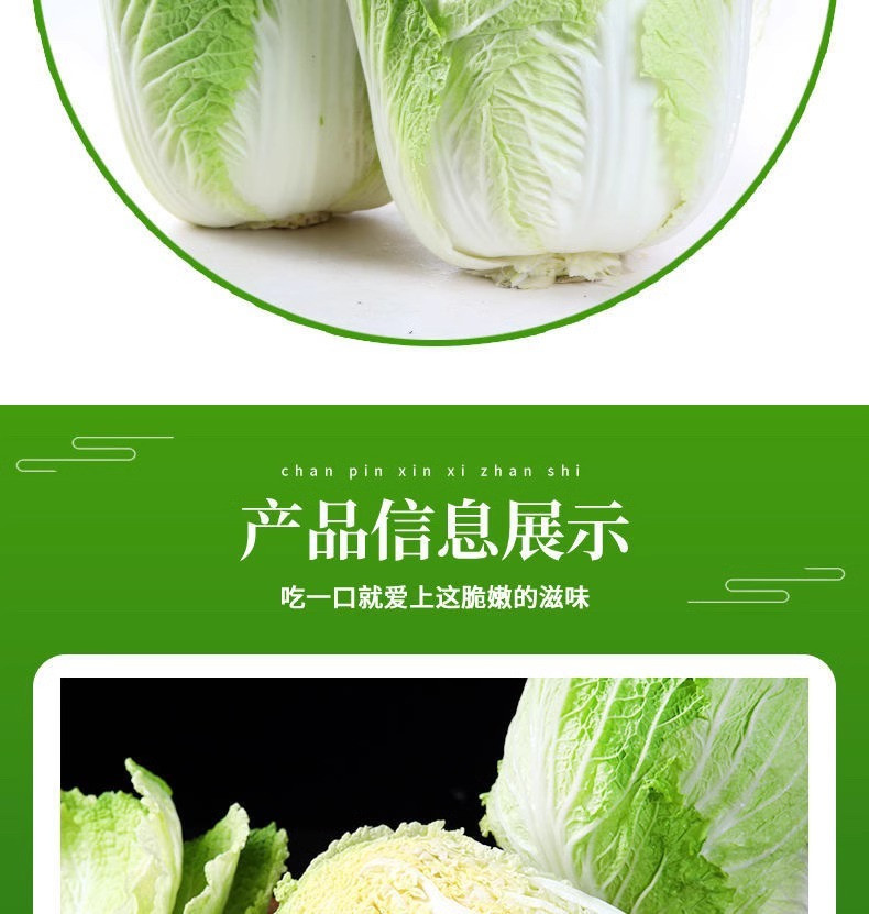 沃丰沃 大白菜冬储【2一3斤】大白菜农家自种新鲜现砍现发酸辣白菜原料