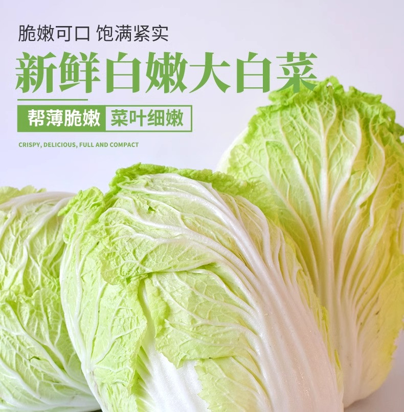 沃丰沃 现摘新鲜大白菜【5-6斤】当季蔬菜农家自种黄心娃娃菜叶包心菜