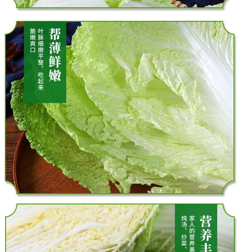 沃丰沃 大白菜冬储【2一3斤】大白菜农家自种新鲜现砍现发酸辣白菜原料