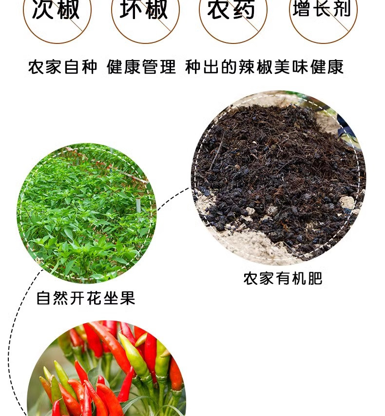 沃丰沃 新鲜现摘小米辣【1斤】椒特辣超辣薄皮红辣椒可剁椒泡椒蔬菜