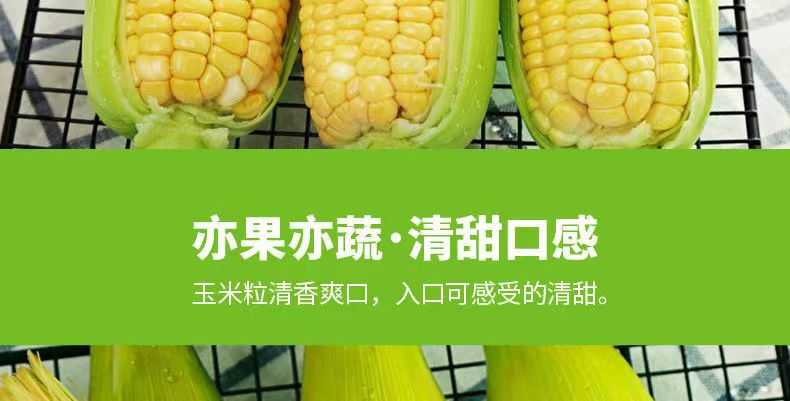 沃丰沃 新鲜水果玉米9斤现摘爆浆玉米甜玉米嫩苞谷粗粮现摘现发产地直销