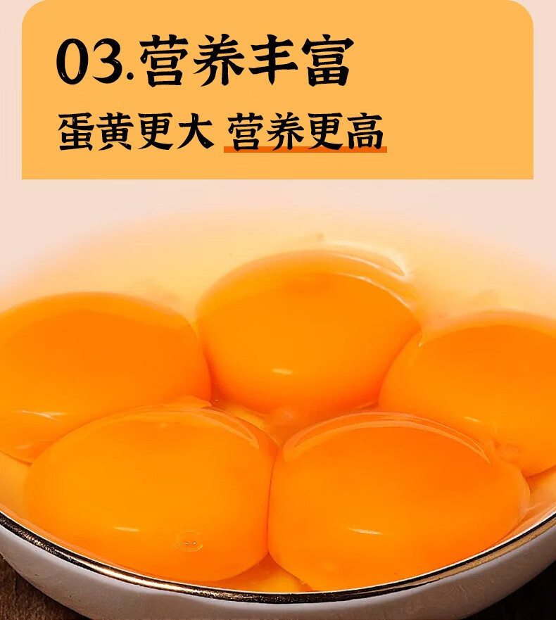 外婆喵 农家正宗【土鸡蛋10枚】散养农村笨鸡蛋新鲜营养柴鸡蛋
