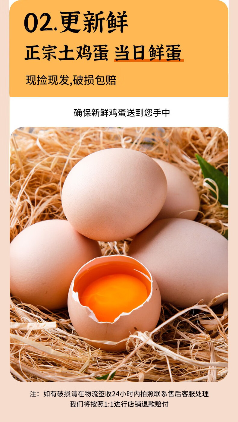 外婆喵 农家正宗【土鸡蛋10枚】散养农村笨鸡蛋新鲜营养柴鸡蛋