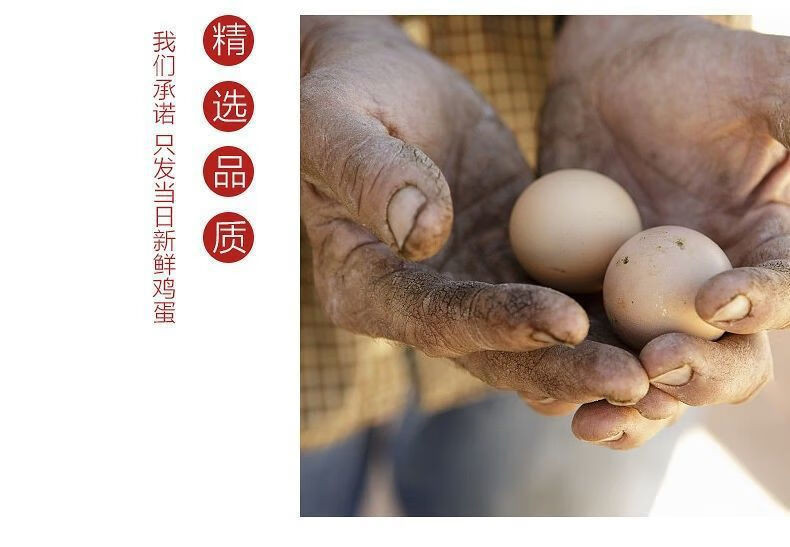 外婆喵 农家正宗【土鸡蛋20枚】散养农村笨鸡蛋新鲜营养柴鸡蛋