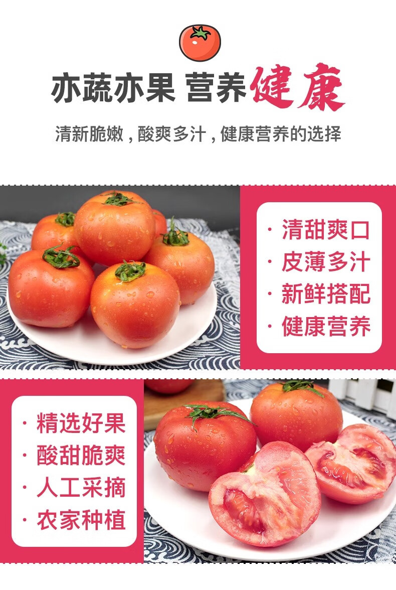 外婆喵 陕西【沙瓤西红柿9斤】普罗旺斯新鲜现摘自然熟生吃番茄蔬菜水果