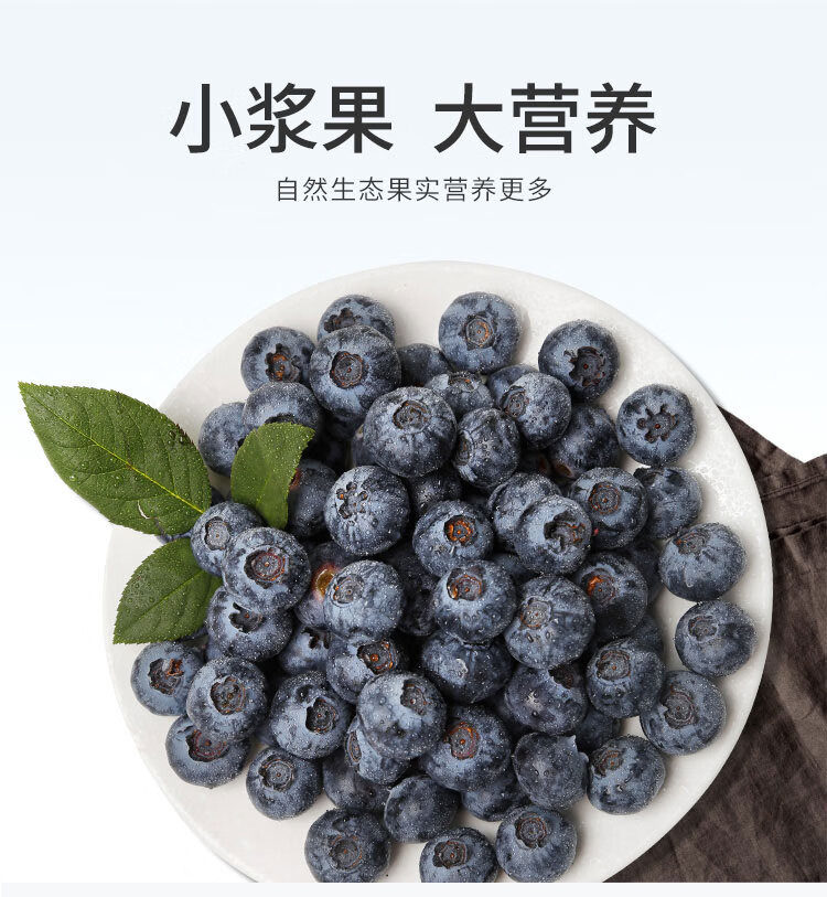 外婆喵 【蓝莓*2盒】山东丹东正宗高山现摘时令当季新鲜水果14mm+