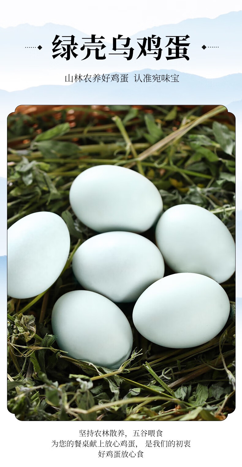 外婆喵 新鲜乌鸡蛋6枚绿皮绿壳鸡蛋乡村土鸡蛋笨鸡蛋新鲜现采农家散养