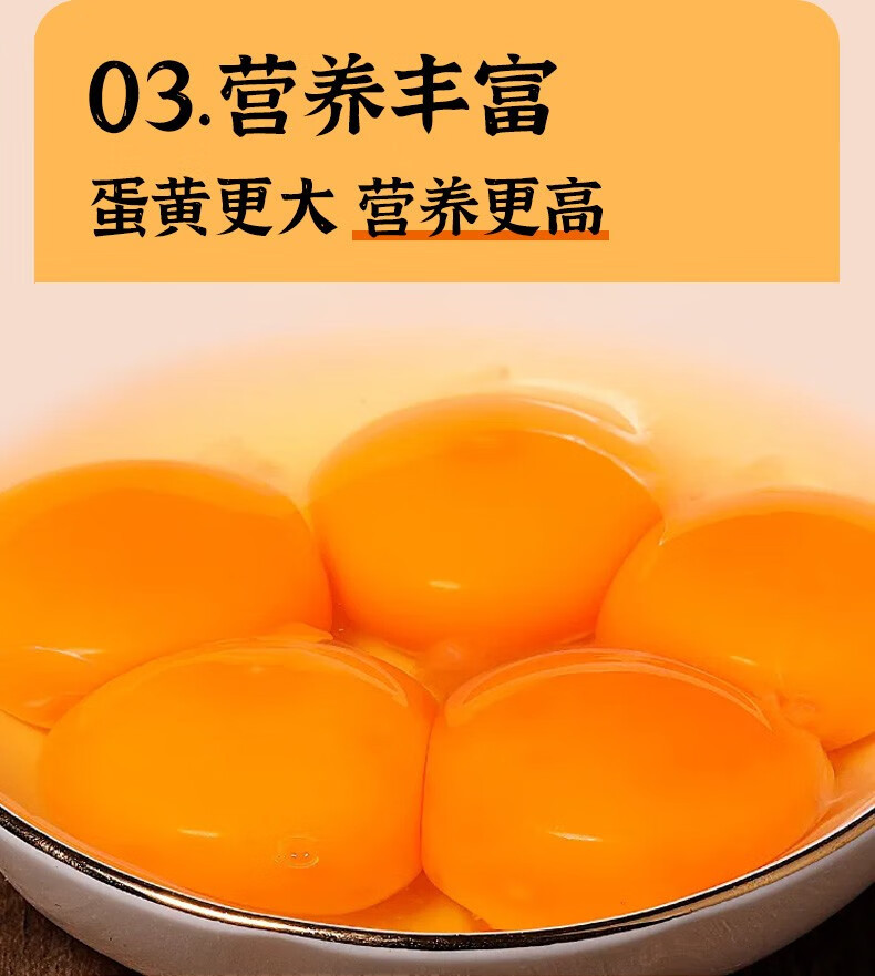 外婆喵 农村笨鸡蛋土鸡蛋【20枚】农家正宗散养新鲜营养柴鸡蛋