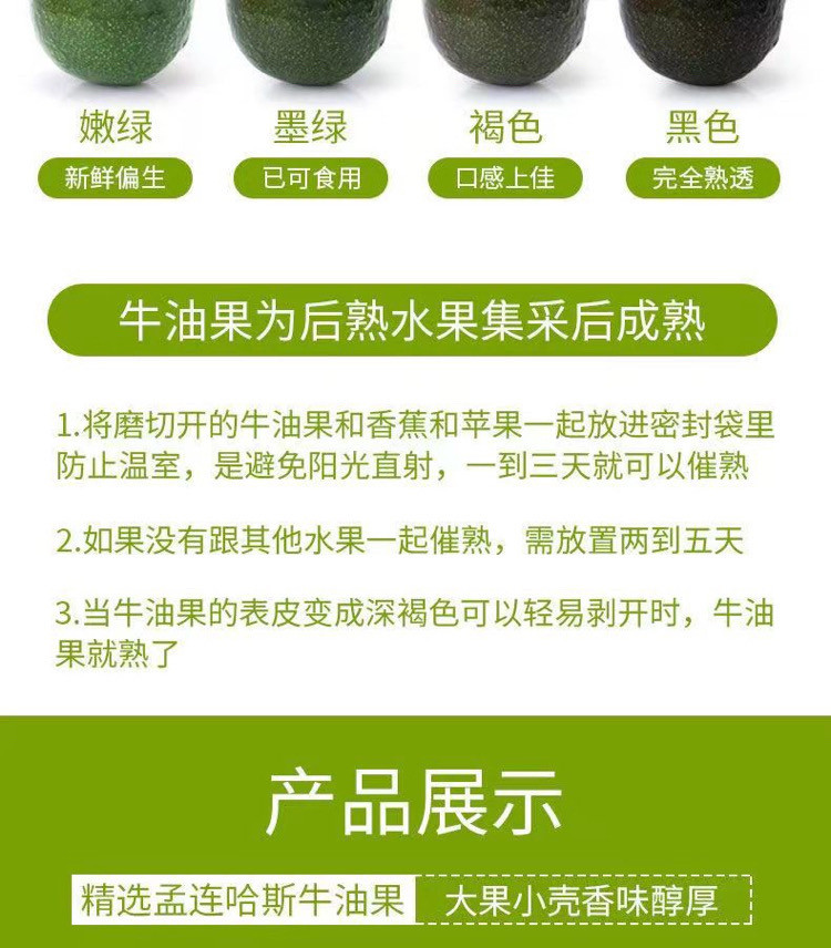 达成孟乡 云南孟连正宗哈斯牛油果当季新鲜采摘鳄梨 精选一级果原产地直发