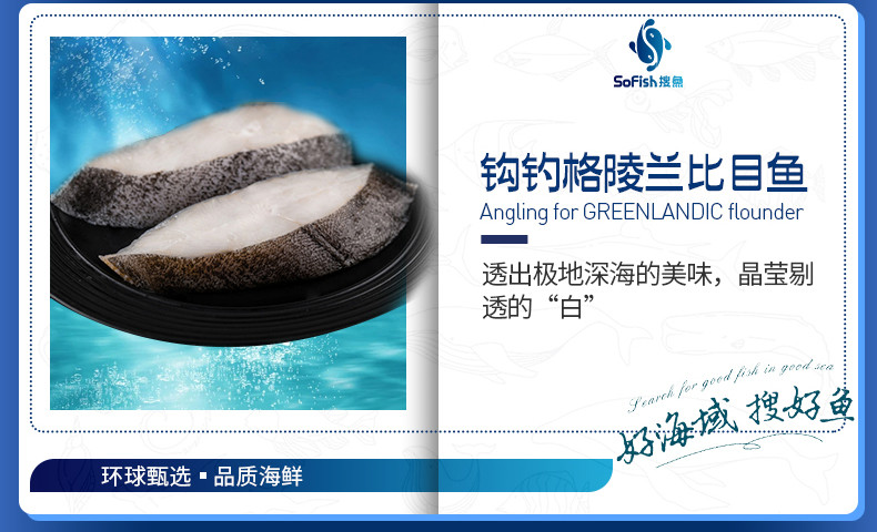 搜鱼 【现货】搜鱼远洋海鲜礼盒V9型鲜活冷冻海产大套餐节日送礼大礼
