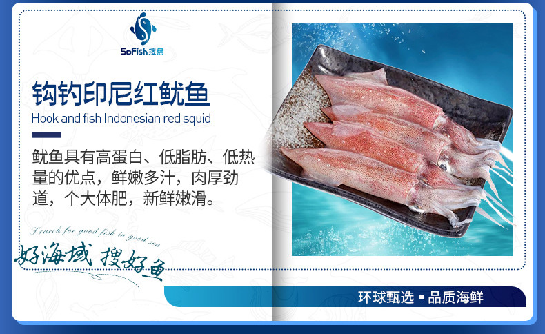 搜鱼 【现货】搜鱼远洋海鲜礼盒V9型鲜活冷冻海产大套餐节日送礼大礼