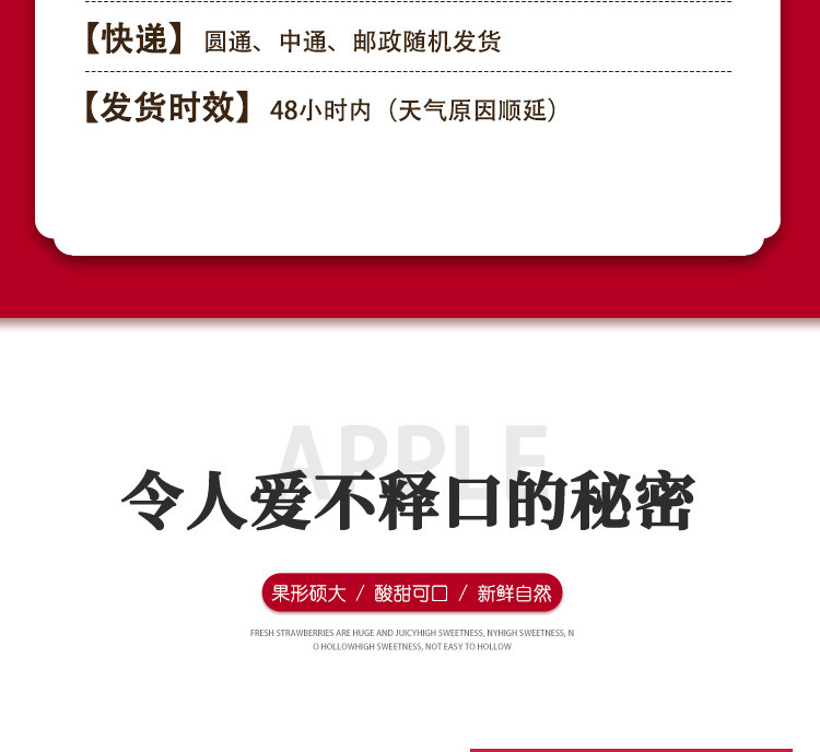 农家自产 产地直发 陕西洛川 高品质 红富士大苹果5斤装