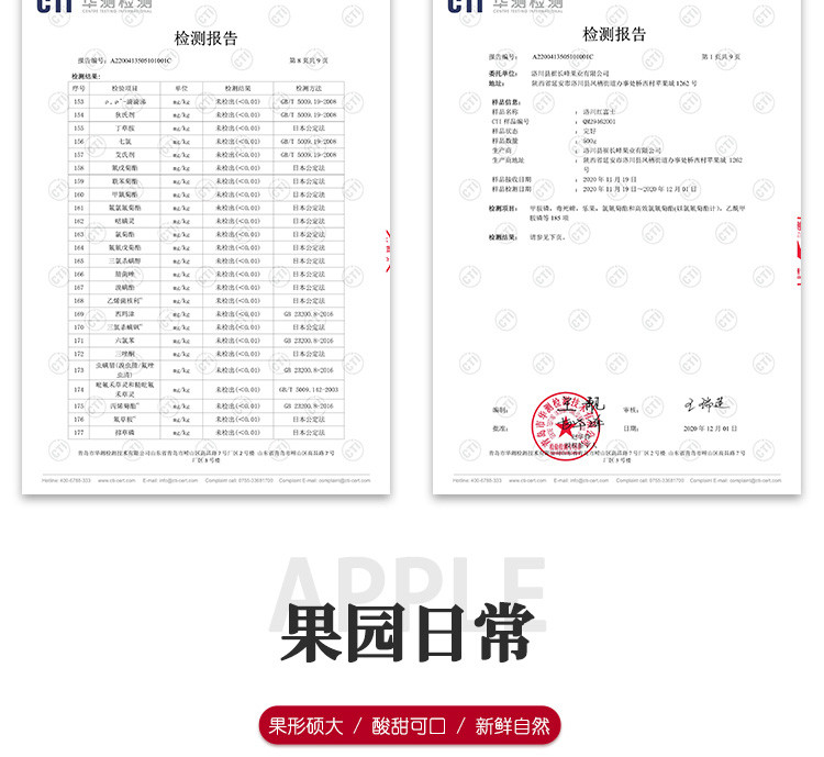 农家自产 产地直发 陕西洛川 高品质 红富士大苹果5斤装