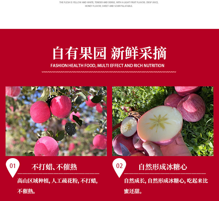 农家自产 产地直发 陕西洛川 高品质 红富士大苹果5斤装