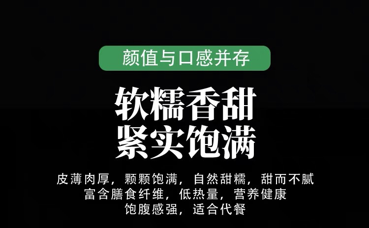 农家自产  西双版纳香糯小玉米 软糯香甜