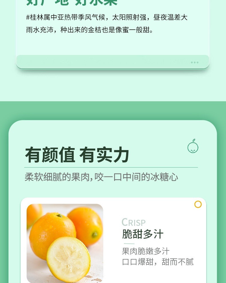 农家自产  广西甜心金桔水果界“小糖炮”