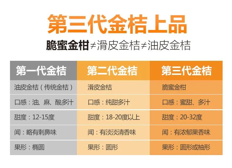 农家自产  广西脆蜜金柑金桔纯甜爆汁