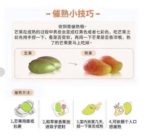 农家自产 【海南金煌芒】芒果现摘现发3斤 甜蜜多汁 核薄如纸