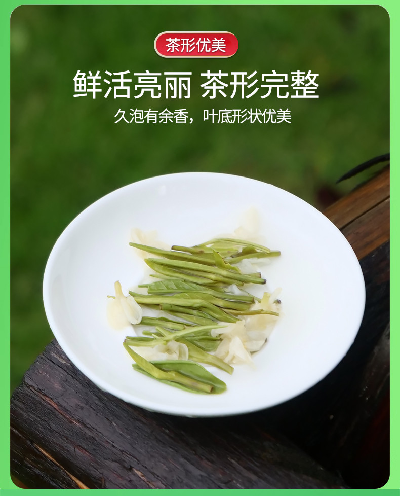 中闽飘香  茉莉飘雪 花茶2024新茶浓香型 绿茶高山茶叶花草茶