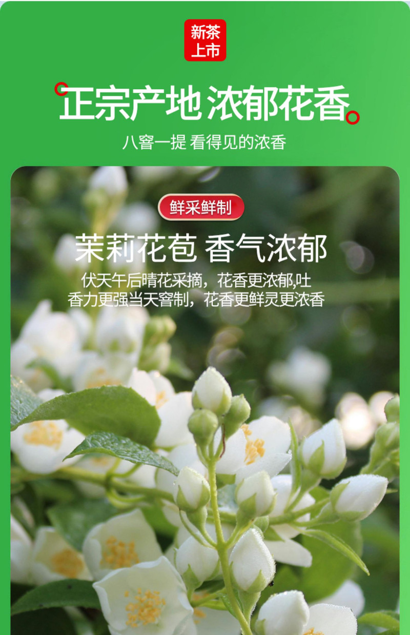 中闽飘香  茉莉飘雪 花茶2024新茶浓香型 绿茶高山茶叶花草茶