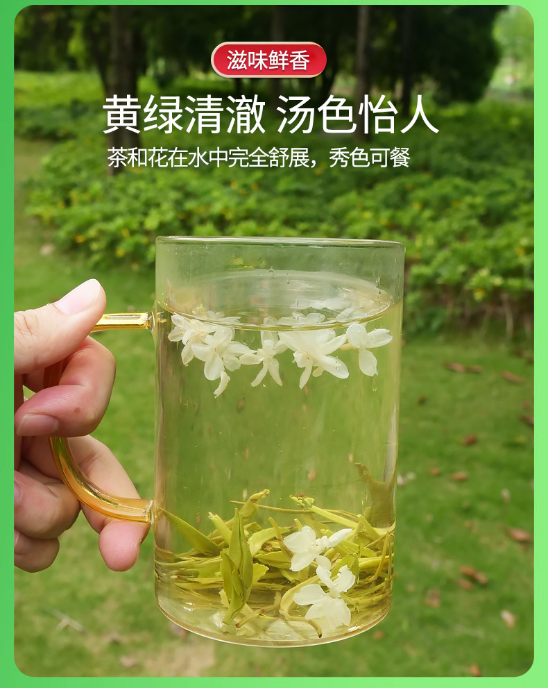 中闽飘香  茉莉飘雪 花茶2024新茶浓香型 绿茶高山茶叶花草茶