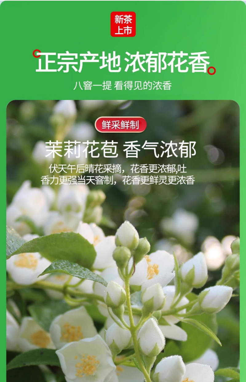 中闽飘香  茉莉花茶 2024新茶 浓香型绿茶 高山茶叶花草