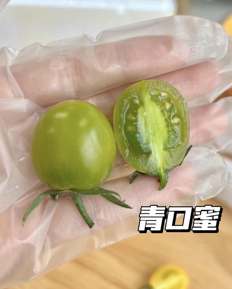 农家自产 顺丰直达！山东【三色小番茄】现摘现发