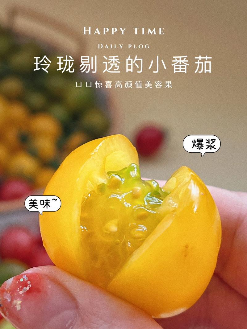 农家自产 顺丰直达！山东【三色小番茄】现摘现发