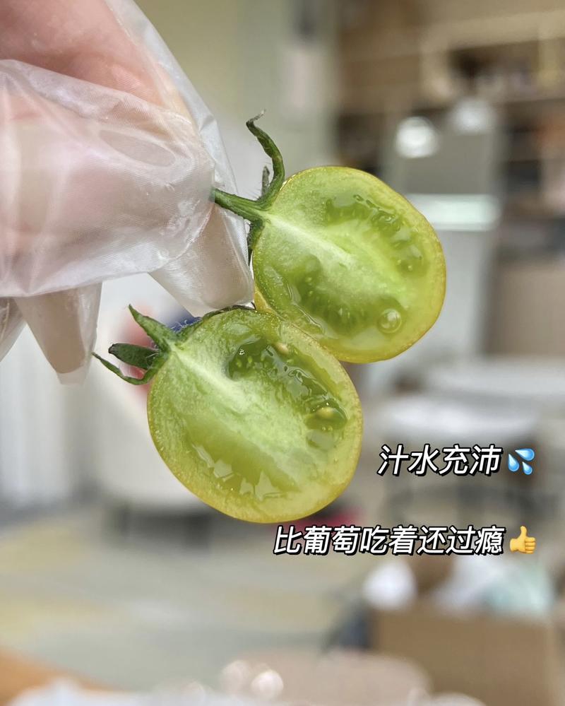 农家自产 顺丰直达！山东【三色小番茄】现摘现发