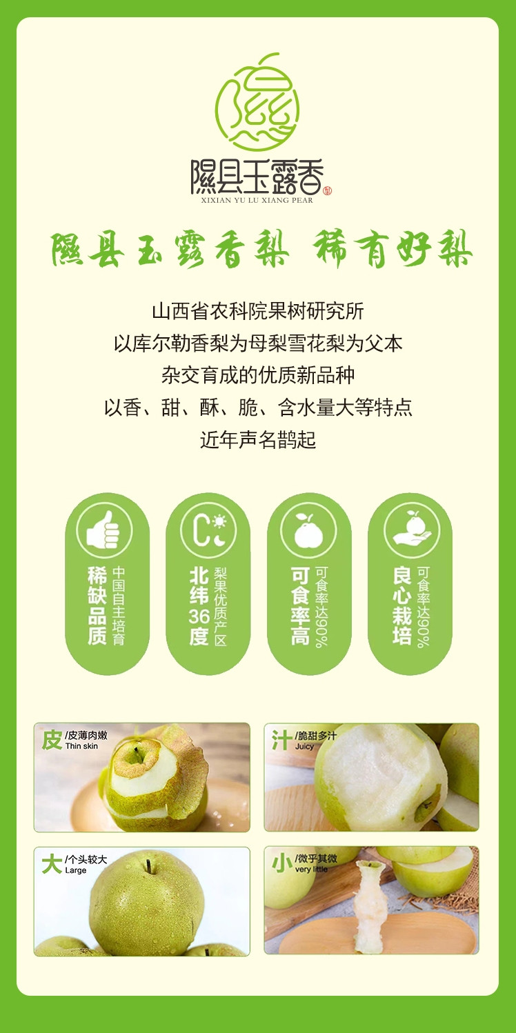 隰州天天 隰县玉露香梨汁果蔬汁饮料