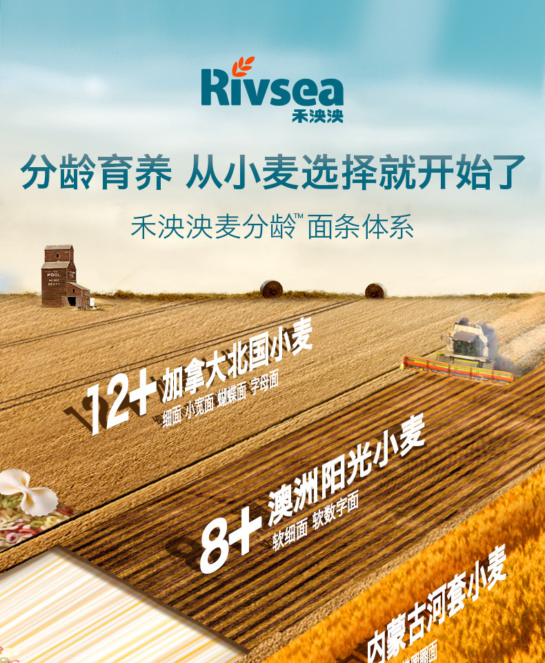 禾泱泱/Rivsea 麦分龄婴幼儿软细面原味180g