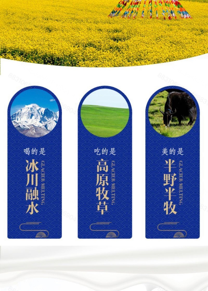 青海湖 高原藏酸奶整箱200ml*10盒娟姗牧场草原特产常温奶发酵乳