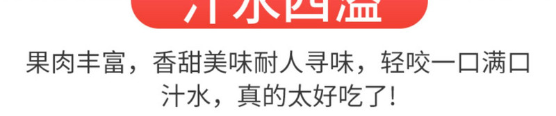 自产自销 【原产地】陕西火晶流心蜜柿30枚整箱新鲜非脆柿