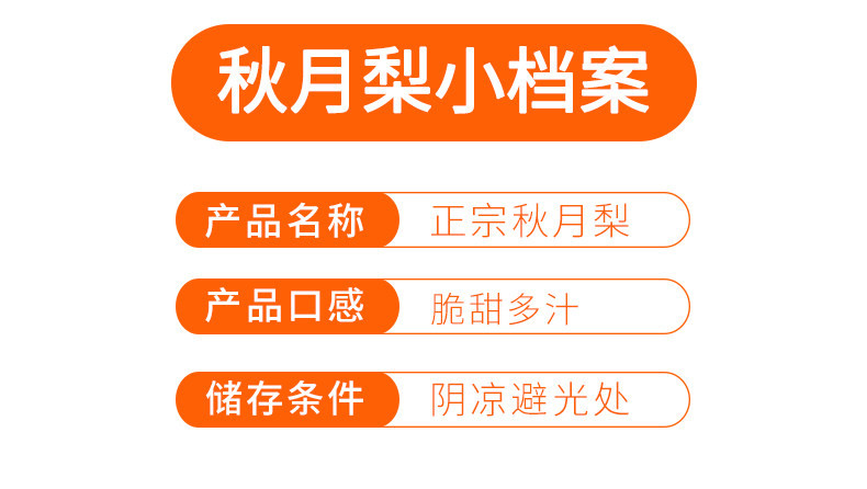 自产自销 【原产地】正宗山东秋月梨4.5斤礼盒装 精品大果