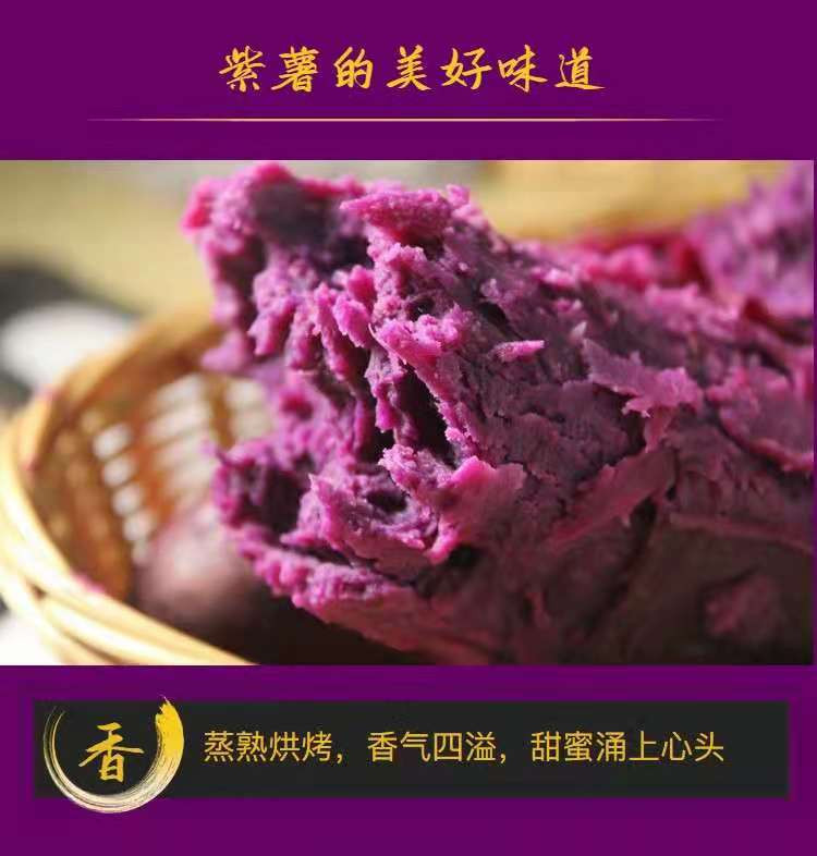 自产自销 【原产地】沙地紫薯新鲜紫罗兰蜜薯9斤中大果农家精品