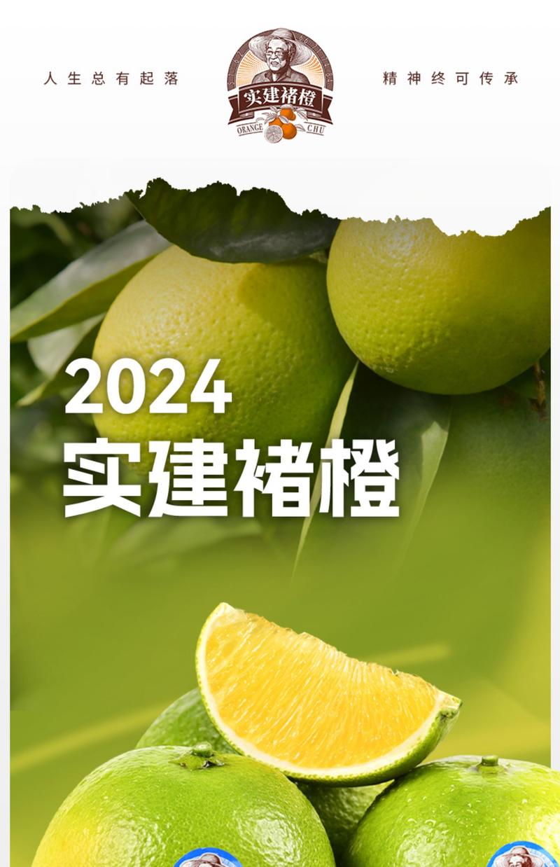 自产自销 【原产地】2024实建褚橙冰糖橙10斤优级果礼盒装新鲜包邮