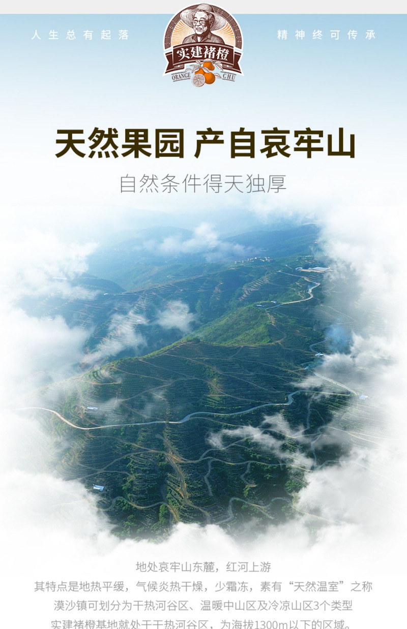 自产自销 【原产地】2024实建褚橙冰糖橙10斤优级果礼盒装新鲜包邮