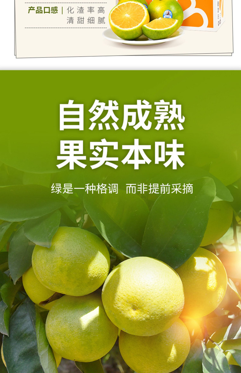 自产自销 【原产地】2024实建褚橙冰糖橙10斤优级果礼盒装新鲜包邮