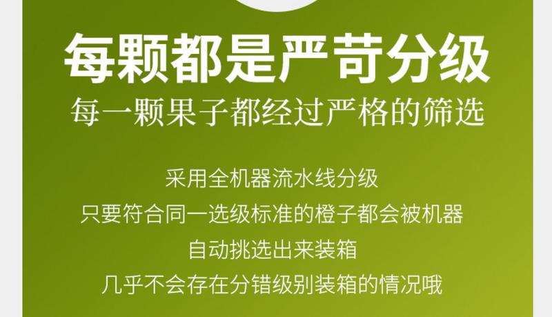 自产自销 【原产地】2024实建褚橙冰糖橙10斤一级果礼盒装新鲜包邮