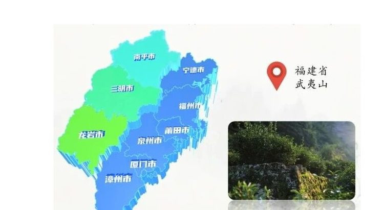 汖茗元 得闲饮茶正山小种礼盒