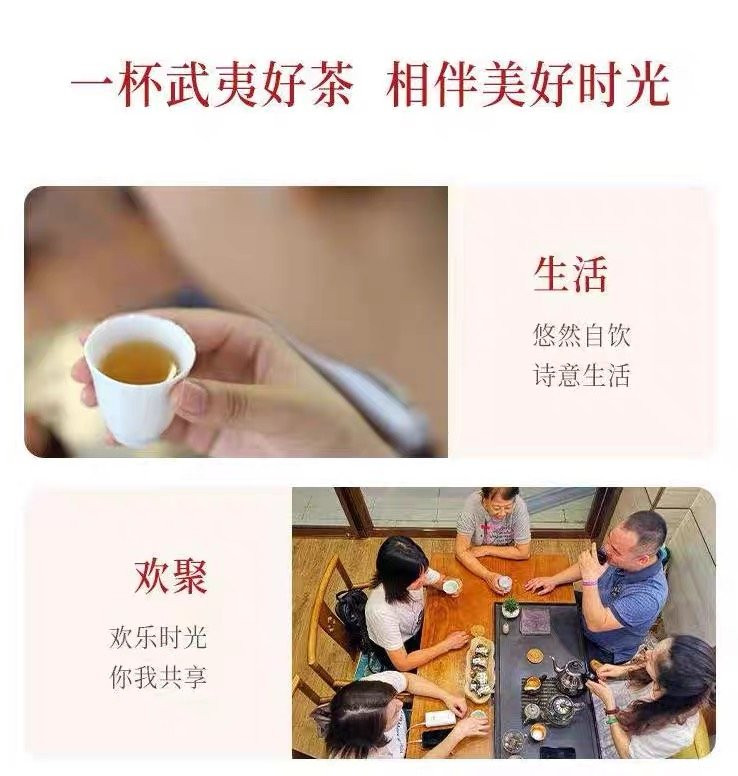 无俩 一龙功夫茶马头岩肉桂