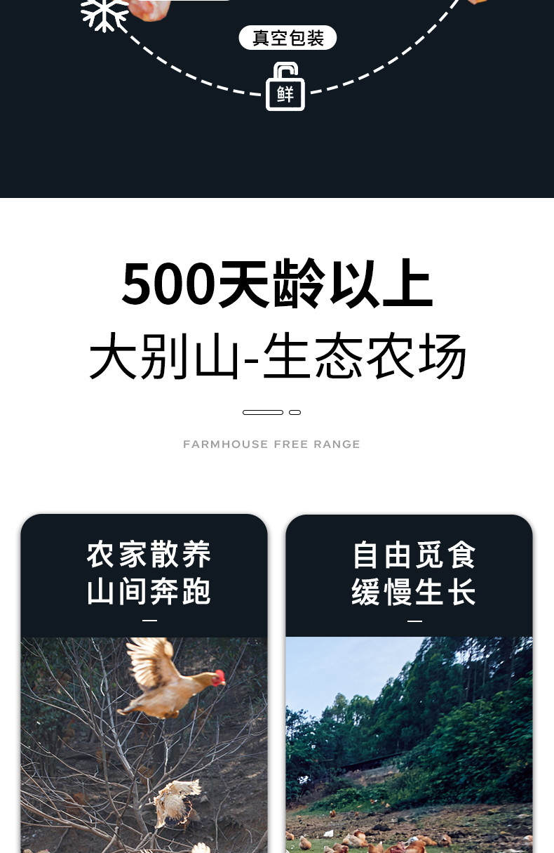 简鲜 散养500天大别山老母鸡1kg*2只